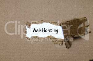 The word web hosting appearing behind torn paper