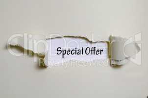 The word special offer appearing behind torn paper