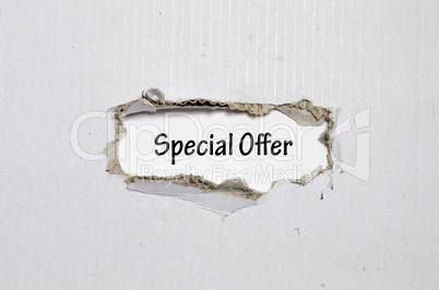 The word special offer appearing behind torn paper