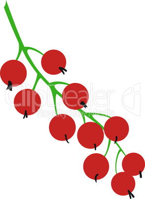 Sprig of red currants