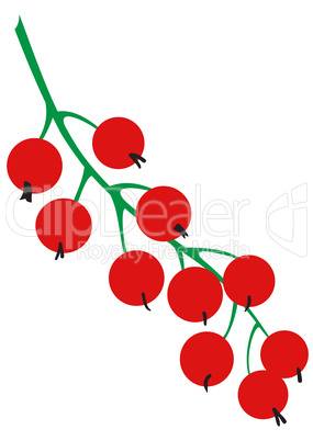 Sprig of red currants