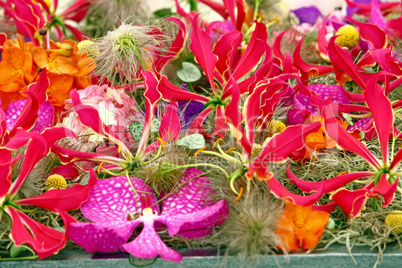 Bunch of red flowers