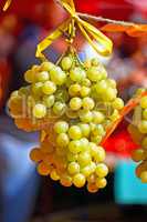 Ripe grapes