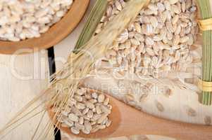 organic barley grains