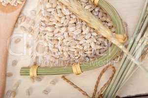 organic barley grains