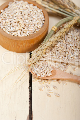 organic barley grains