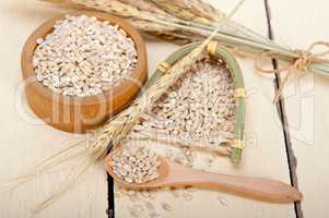 organic wheat grains