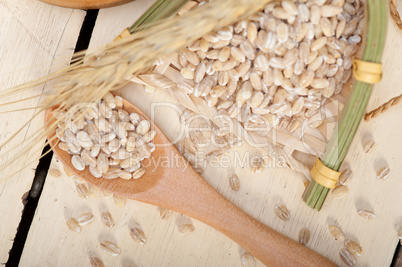 organic wheat grains