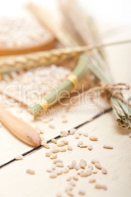 organic wheat grains