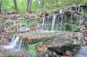 Kleiner Wasserfall im Wald
