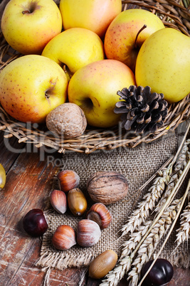 Autumn still life with apples and nuts