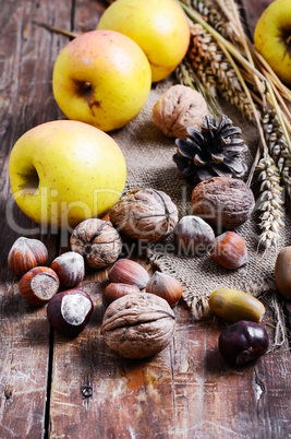 Autumn still life with apples and nuts