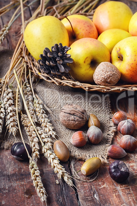 Autumn still life with apples and nuts