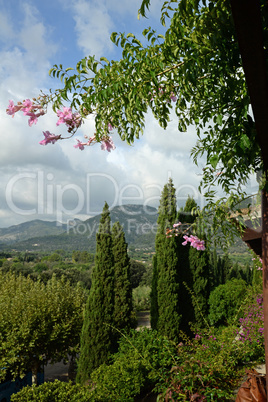 Landschaft bei Campanet, Mallorca