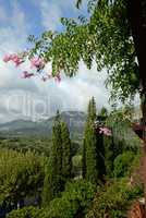 Landschaft bei Campanet, Mallorca