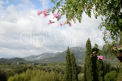 Landschaft bei Campanet, Mallorca