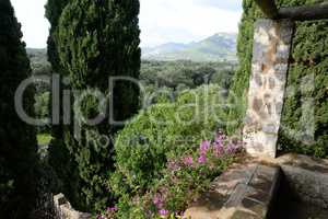 Landschaft bei Campanet, Mallorca