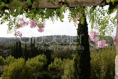 Landschaft bei Campanet, Mallorca