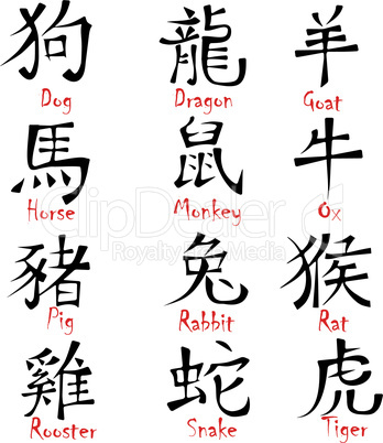 12 Chinese hieroglyph zodiac signs design vector illustration calligraphy for New Year