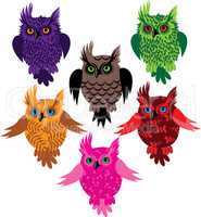 Owl bird set