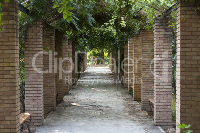 Pergola in Athens park, Greece