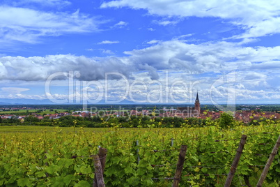 View on Saint-Hyppolyte and vineyard, Alsace, France