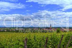 View on Saint-Hyppolyte and vineyard, Alsace, France