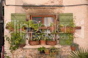 Fenster in Rovinj, Istrien, Kroatien