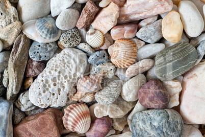 Pebble stones and scallops and shells