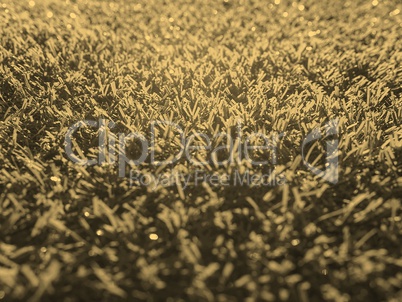 Artificial grass sepia