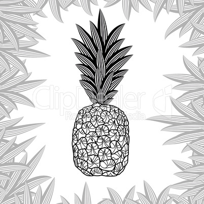 pineapple fruit black and white design isolated on white background. Vector illustration