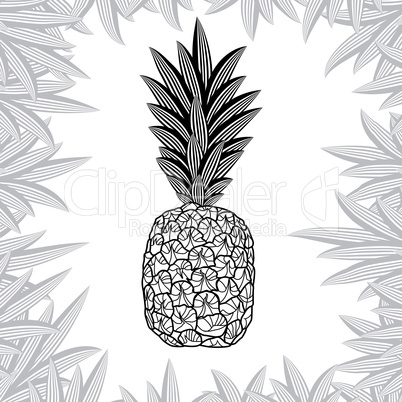 pineapple isolated on white background. Vector illustration