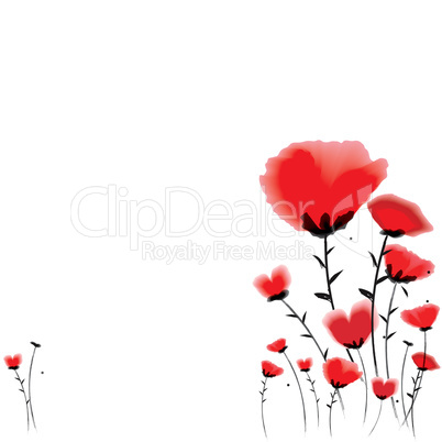 Poppy background