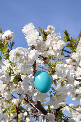 Osterei in blühendem Baum