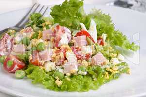 Many Ingredient salad