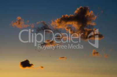 Horizontal vivid sunset cloudscape with flying birds background