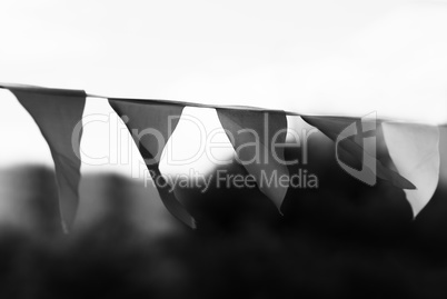 Horizontal black and white waving flags bokeh background backdro