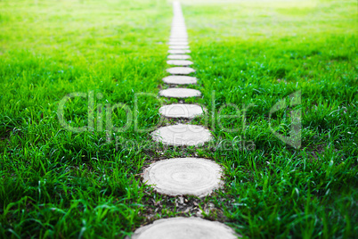 Vertical forest path footway on green grass background