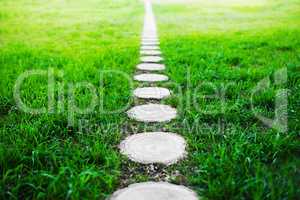 Vertical forest path footway on green grass background