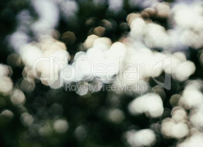 Horizontal dirty bokeh design background backdrop