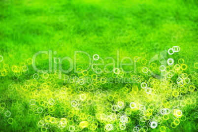 Green lawn with light leak bokeh background