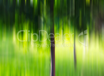 Summer tree in motion blur background