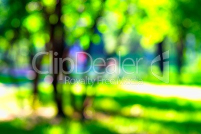 Horizontal vivid park bokeh background