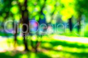 Horizontal vivid park bokeh background