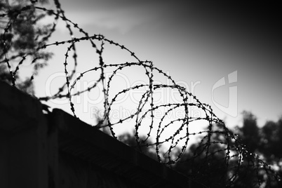 Diagonal prison barbed wire bokeh background