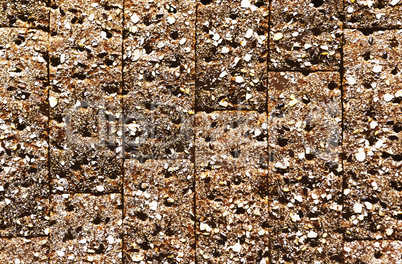Horizontal brown herb snacks textured illustration background