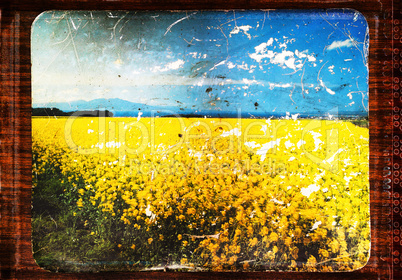 Horizontal vintage landscape field bordered postcard