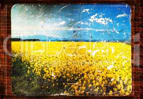 Horizontal vintage landscape field bordered postcard