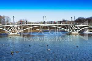 Horizontal arc bridge in Moscow park background