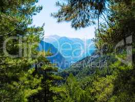 Horizontal vivid dramatic mountains view landscape trees bokeh b